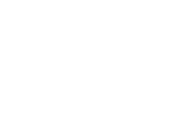 Alebrijes: The colorful dream Step into a vibrant dreamland of magical spirit creatures! From the heart of Mexico, fo...